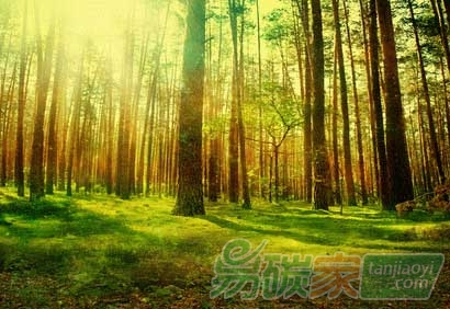 互聯(lián)網(wǎng)+綠色化