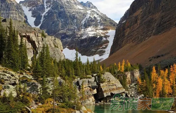 習近平主席宣布氣候變化南南合作