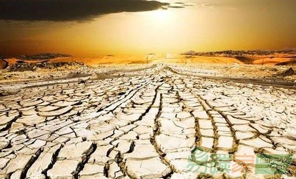 厄爾尼諾現(xiàn)象對(duì)農(nóng)業(yè)、糧食安全和營(yíng)養(yǎng)的影響分析