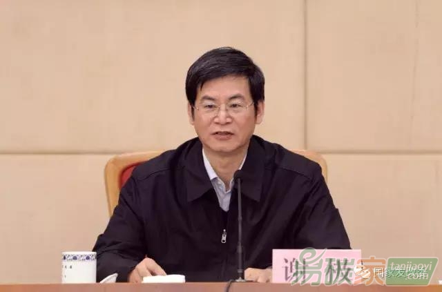 氣候司巡視員謝極同志講碳排放權(quán)交易市場建設(shè)