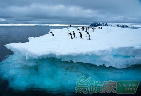 氣候變化的科學(xué)認識和政治共識