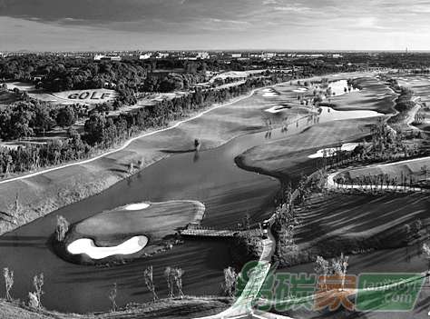 百度圖片——推動(dòng)森林資源成為應(yīng)對(duì)氣候變化有效手段