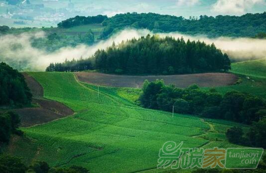 2019年第一期“林業(yè)碳匯管理”專題培訓(xùn)開(kāi)始報(bào)名啦！