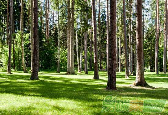 如何提高陸地生態(tài)系統(tǒng)碳儲量和固碳速率成國際社會關(guān)注焦點