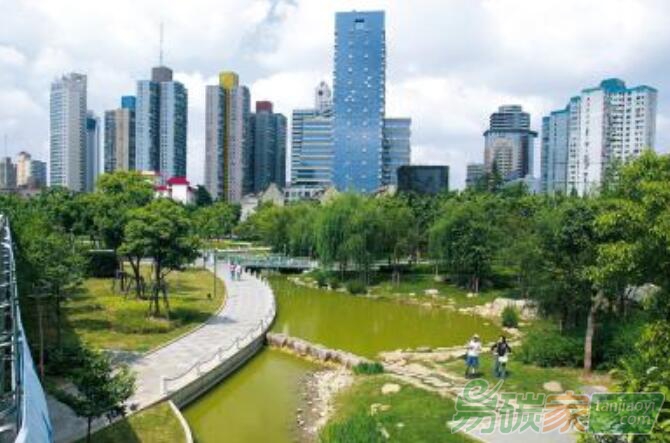 用科技點(diǎn)亮綠色未來(lái)