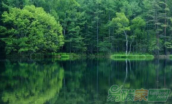 杜祥琬、曾鳴：關(guān)于能源與電力“十四五”規(guī)劃的八點(diǎn)建議