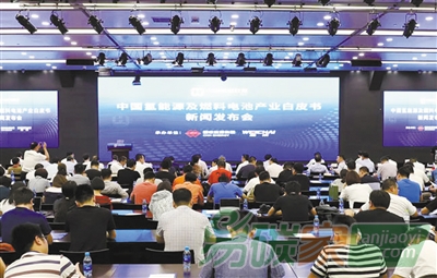 《中國(guó)氫能源及燃料電池產(chǎn)業(yè)白皮書(shū)》發(fā)布