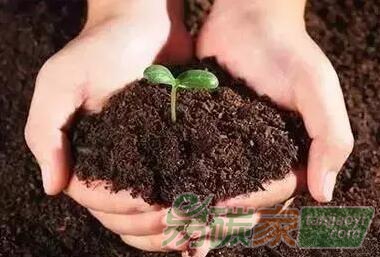 廣州期貨交易所落地在即碳排放權(quán)期貨就要來(lái)了！