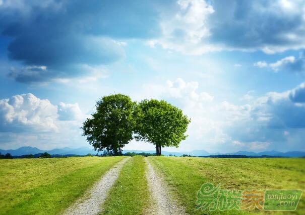 全球哪些國家和地區(qū)設(shè)立了碳中和（凈零排放）目標(biāo)？