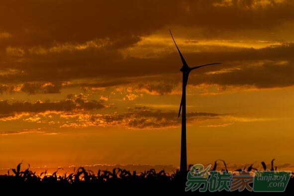 常紀文：推進碳達峰碳中和，要防止哪些偏差，把握哪些尺度？