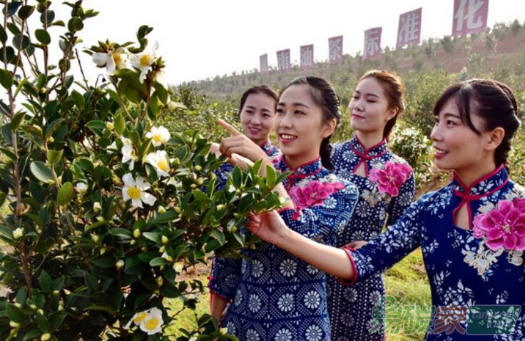 國家林草局：鼓勵(lì)商業(yè)性金融機(jī)構(gòu)發(fā)展林權(quán)抵押等多項(xiàng)貸款